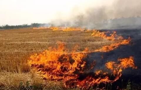 十年后霧霾會消失嗎？院士：十年內(nèi)難治好霧霾